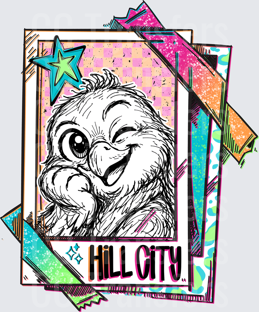 Fluffy Winking Owl Polaroid Retro Neon Hill City (DTF)