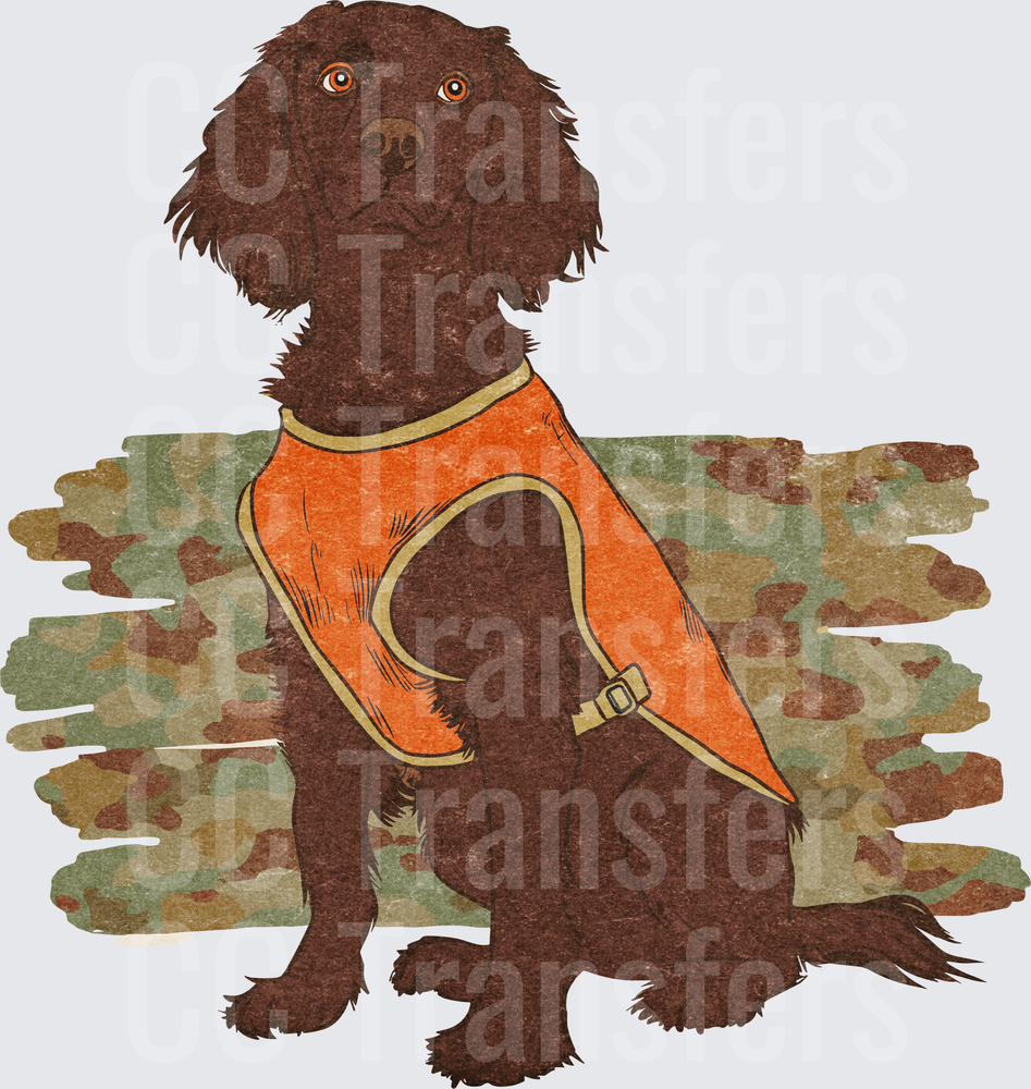 Chocolate Spaniel Dog in Orange Hunting Vest Camo (DTF)