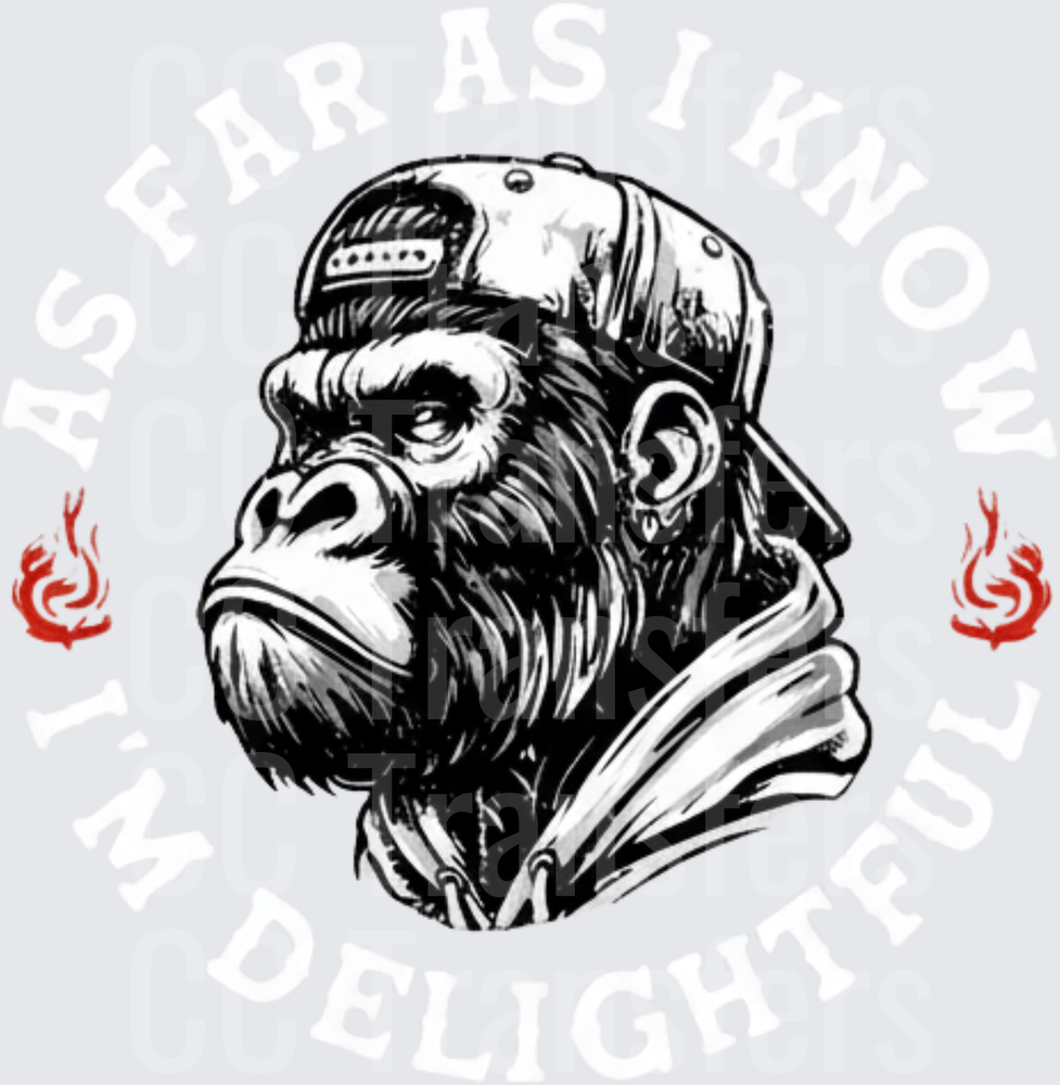 Streetwise Gorilla Snapback Hoodie Flames (DTF)