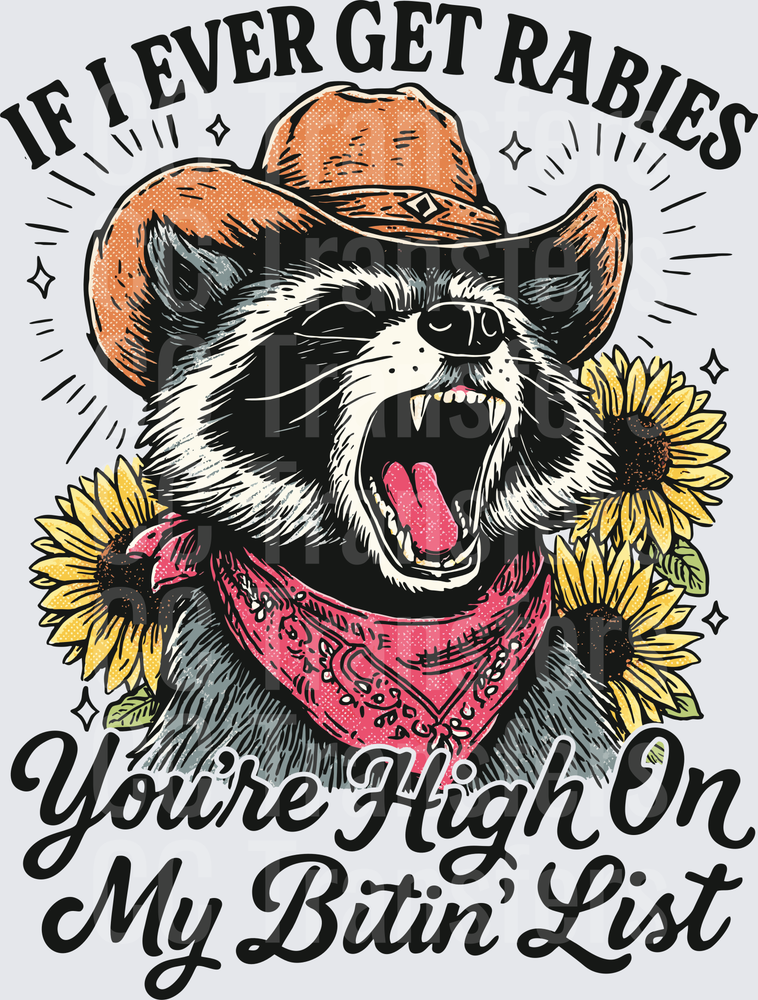 Rabies Raccoon Cowboy Sunflowers Bitin' List Funny (DTF)