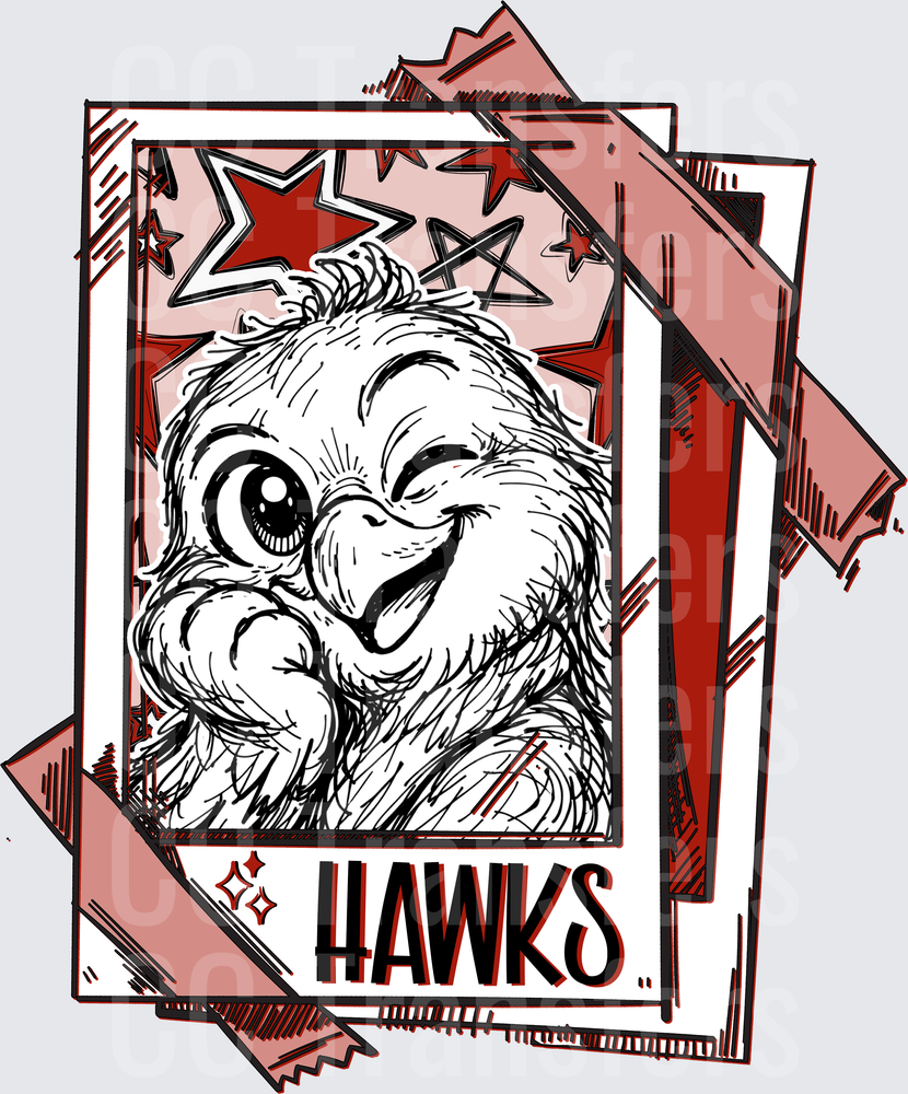 Cute Fluffy Bird Winking Polaroid Photo Stars Hawks (DTF)