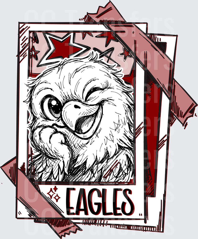 Winking Eagle Mascot Stars Polaroid Frame Eagles DTF