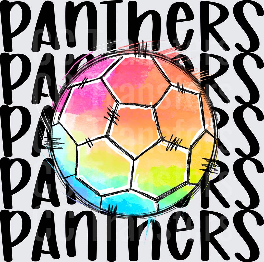 PANTHERS SOCCER (DTF)