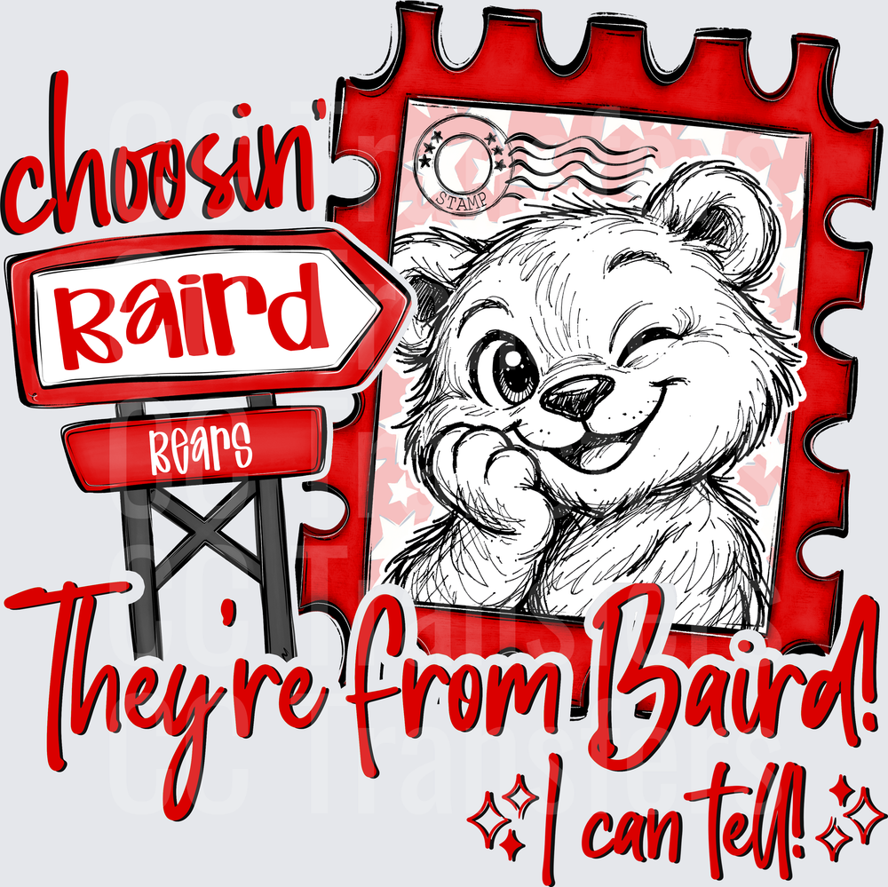 Choosin' Baird Bears They're From Baird I Can Tell (DTF)