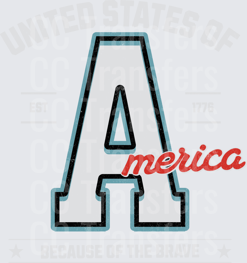 United States of America EST 1776 Because of the Brave (DTF)