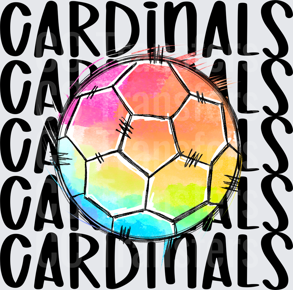 CARDINALS SOCCER (DTF)