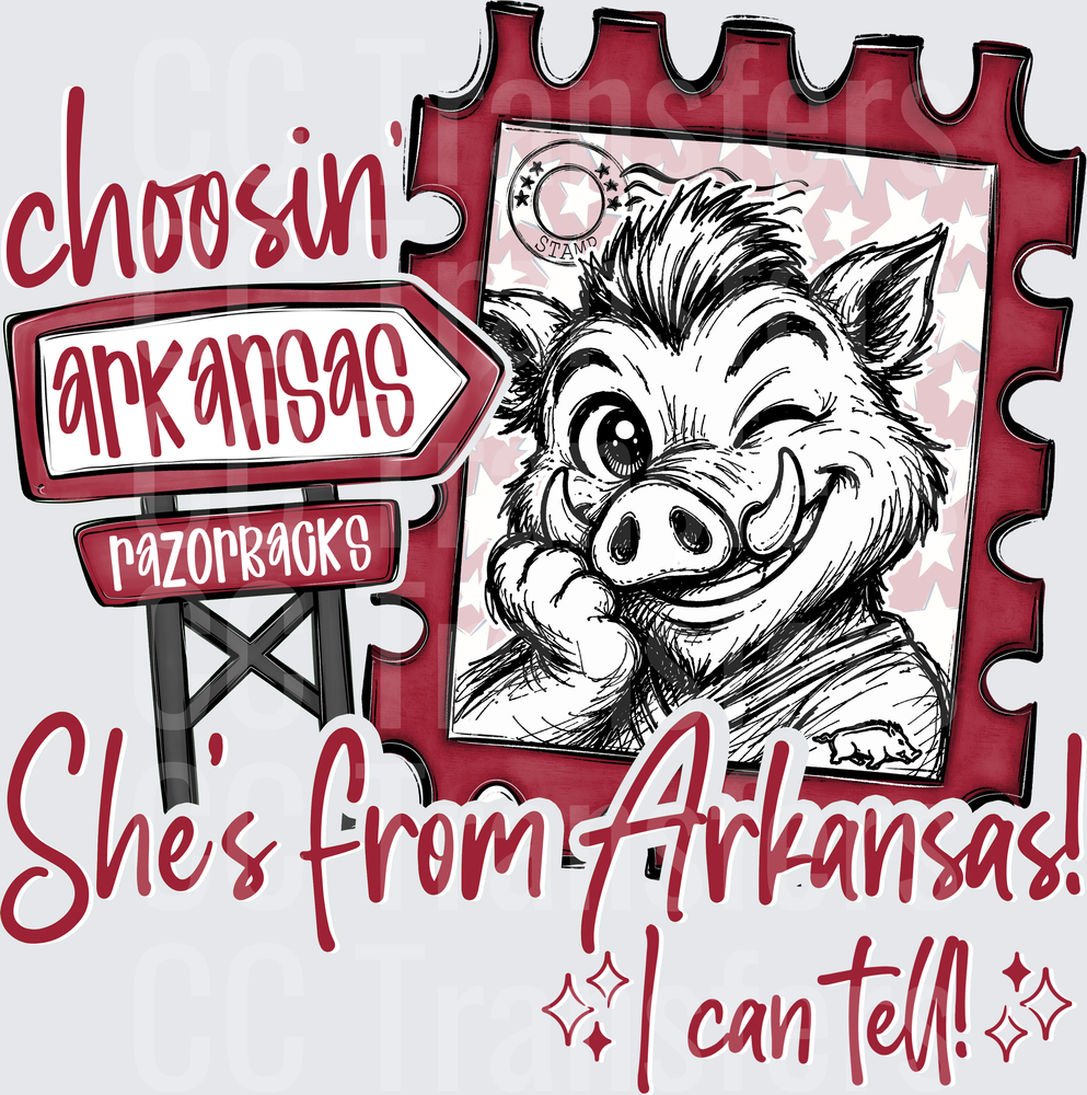Choosin' She's From Arkansas Razorback Stamp Sign (DTF)