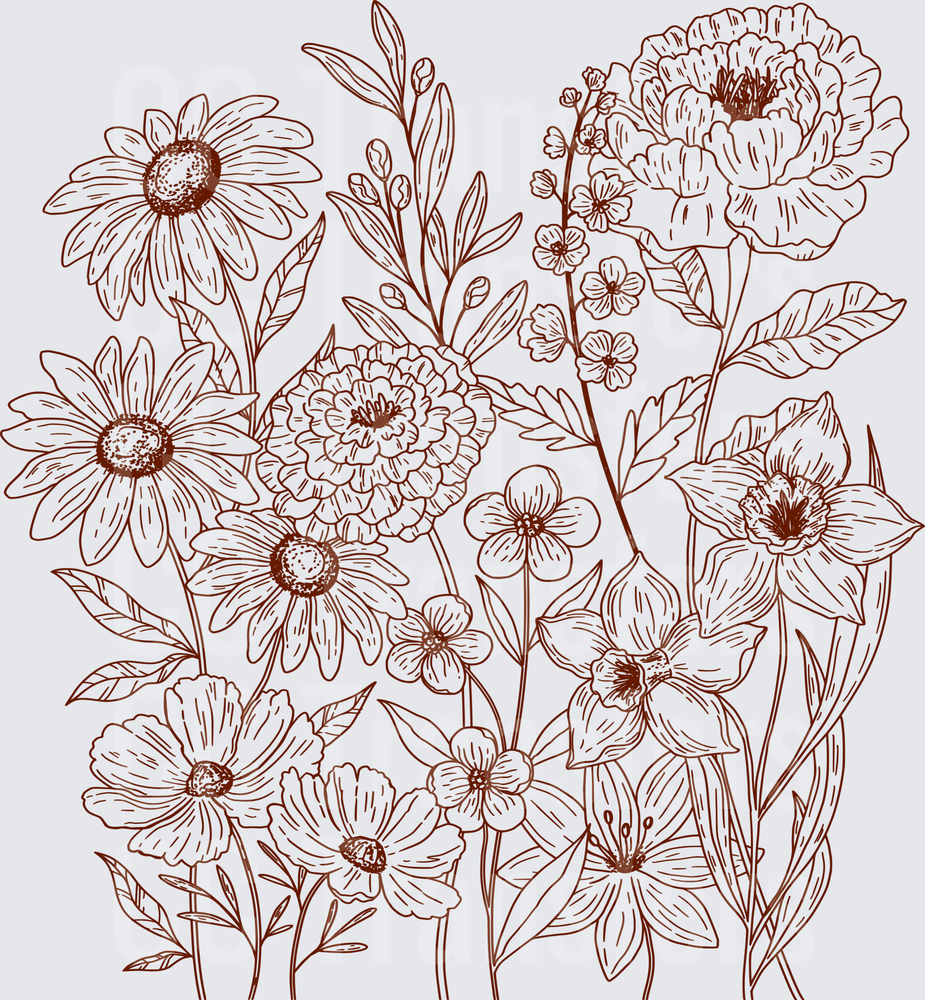 Rustic Wildflower Botanical Line Art Floral Garden (DTF)