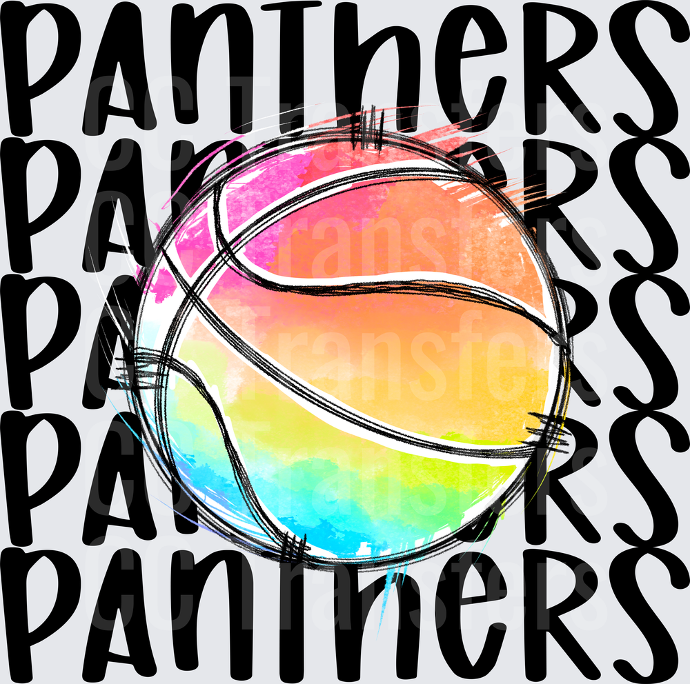 PANTHERS BASKETBALL (DTF)