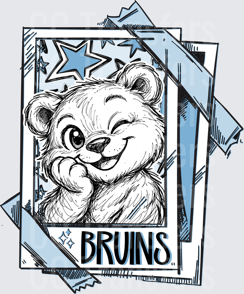 Cute Winking Bear Mascot Polaroid Stars Bruins (DTF)