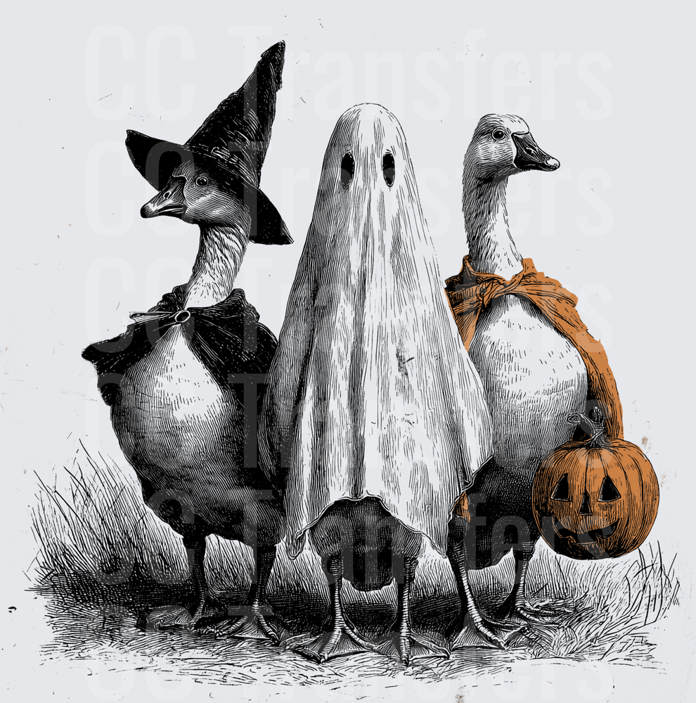 Halloween Geese Witch Ghost Pumpkin Vintage Engraving (DTF)