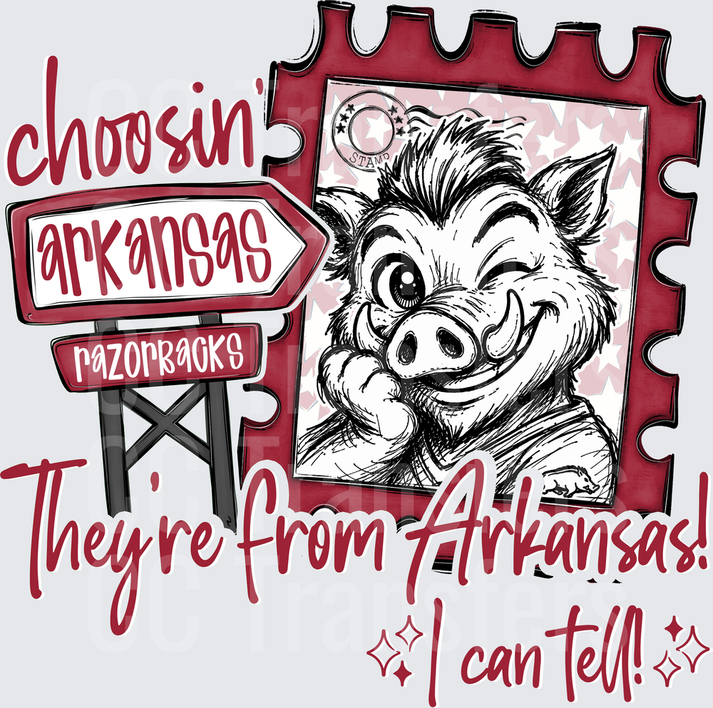 Choosin' Arkansas Razorbacks Hog Stamp I Can Tell (DTF)