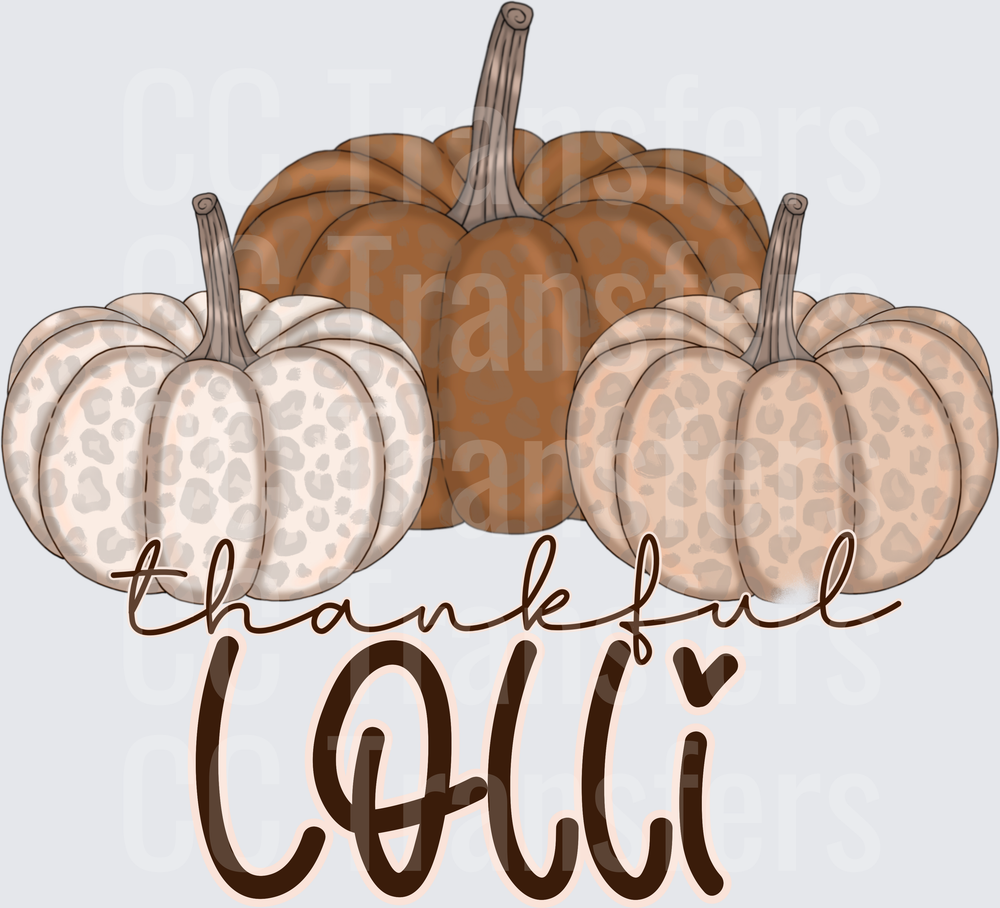 Thankful Lolli Leopard Print Pumpkin Trio Fall (DTF)
