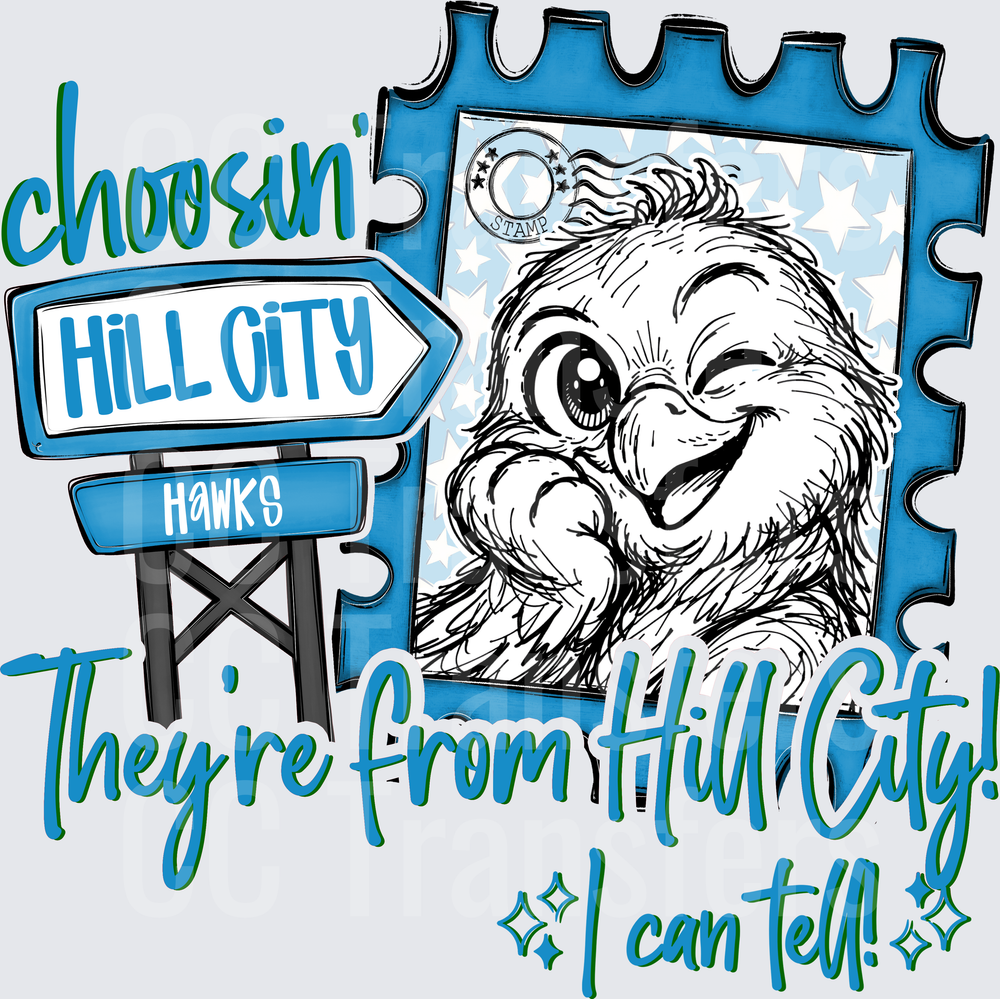 Choosin Hill City Hawks Winking Bird Stamp Sign DTF