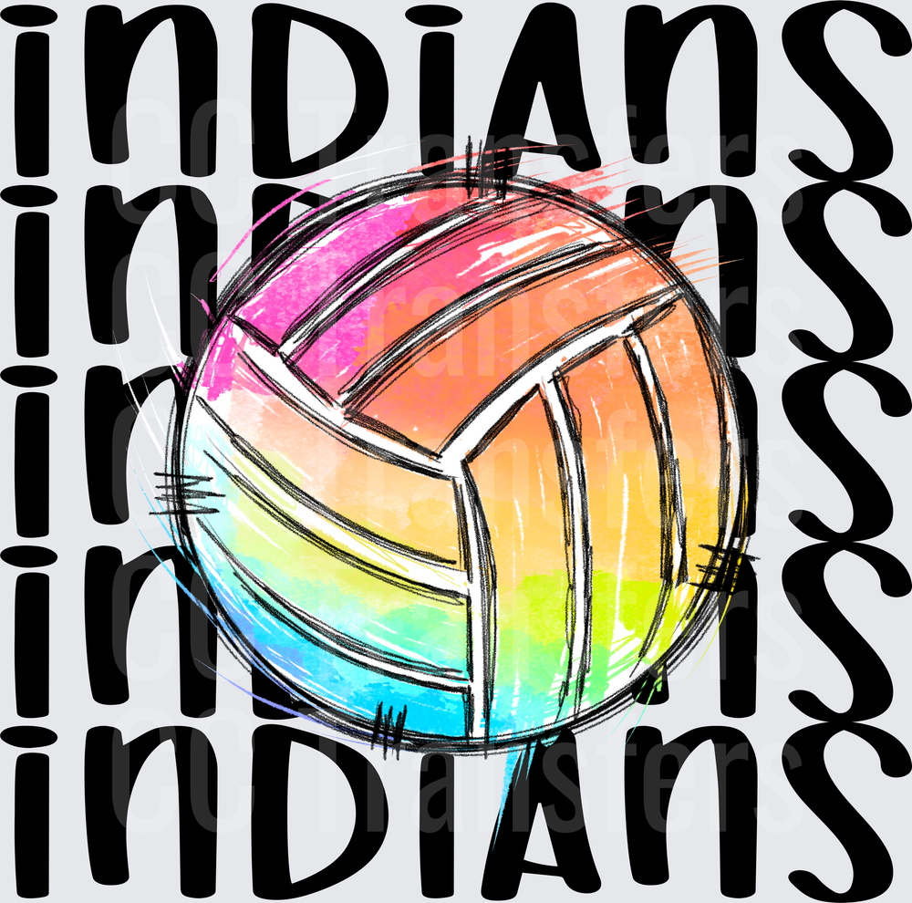 INDIANS VOLLEYBALL (DTF)