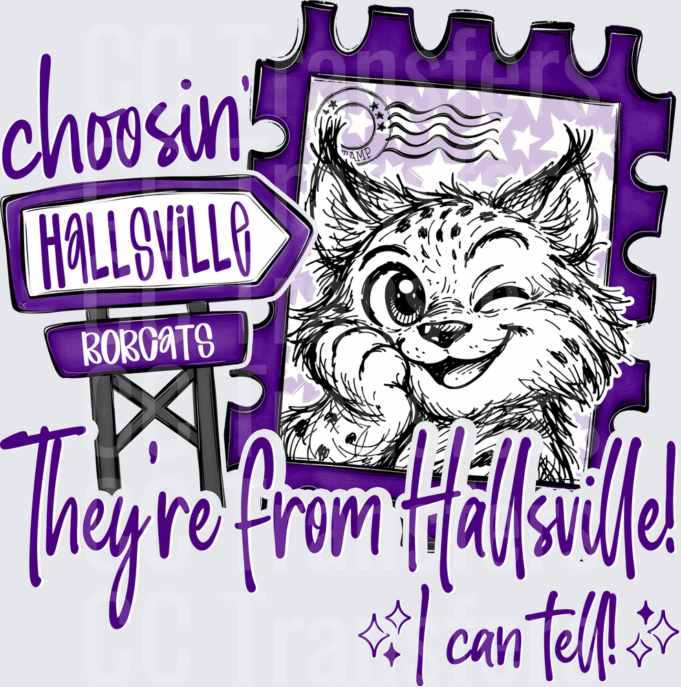 Choosin' Hallsville Bobcats They're From Hallsville I Can Tell (DTF)