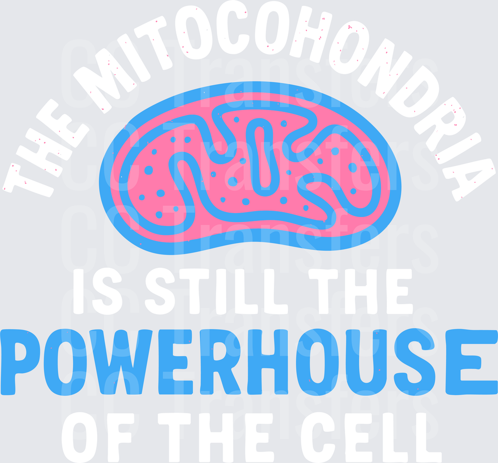 Mitochondria Powerhouse Cell Biology Science (DTF)