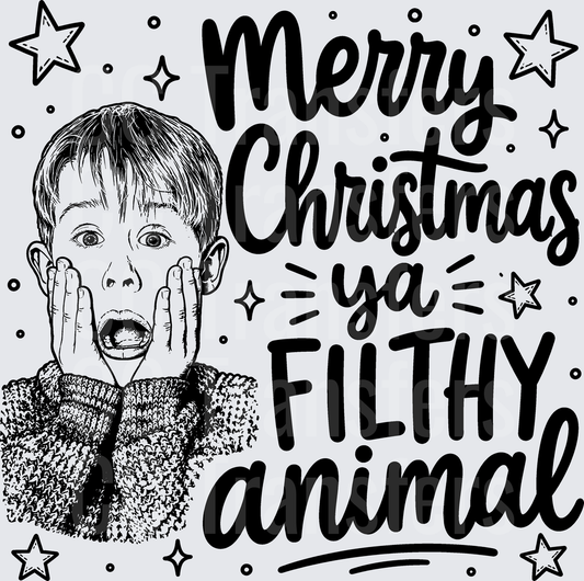 Merry Christmas Ya Filthy Animal Shocked Boy (DTF)