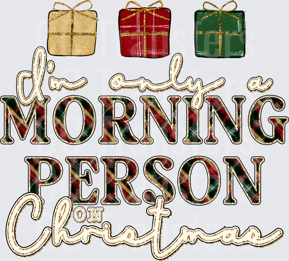 I'm Only A Morning Person On Christmas Plaid Gift (DTF)