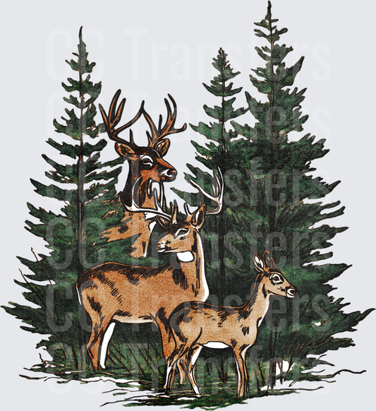Whitetail Buck Doe and Fawn Pine Forest Scene (DTF)