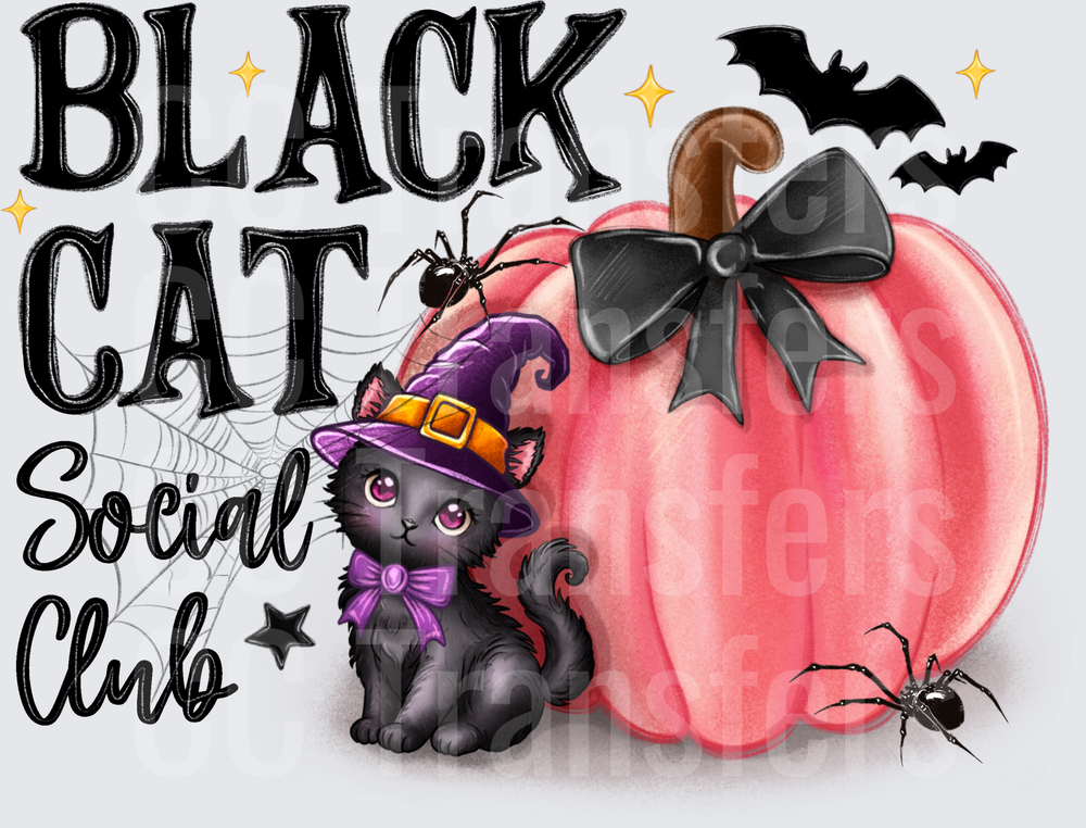 Black Cat Social Club Halloween Witch Kitten Pumpkin (DTF)