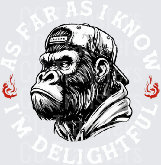 Streetwise Gorilla Snapback Hoodie Flames (DTF)