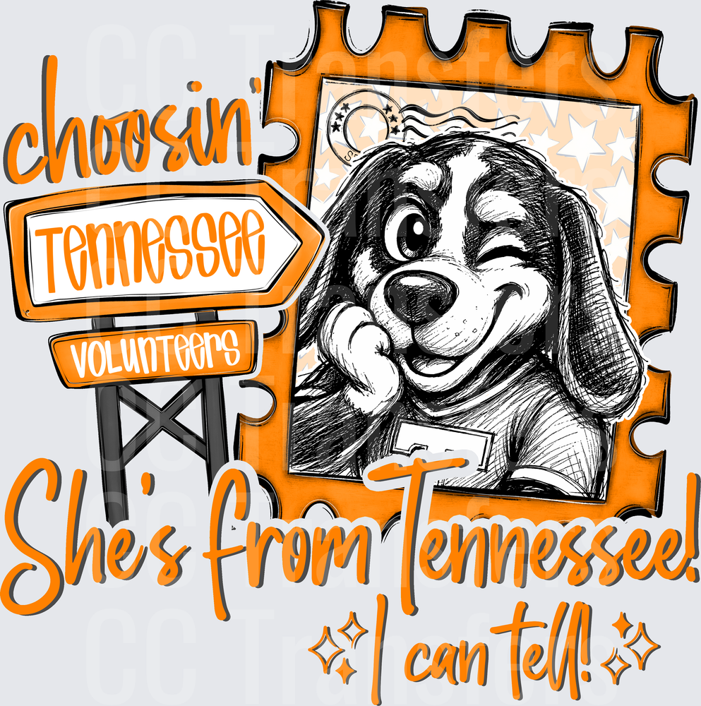Choosin Tennessee Volunteers She's From Tennessee Dog (DTF)