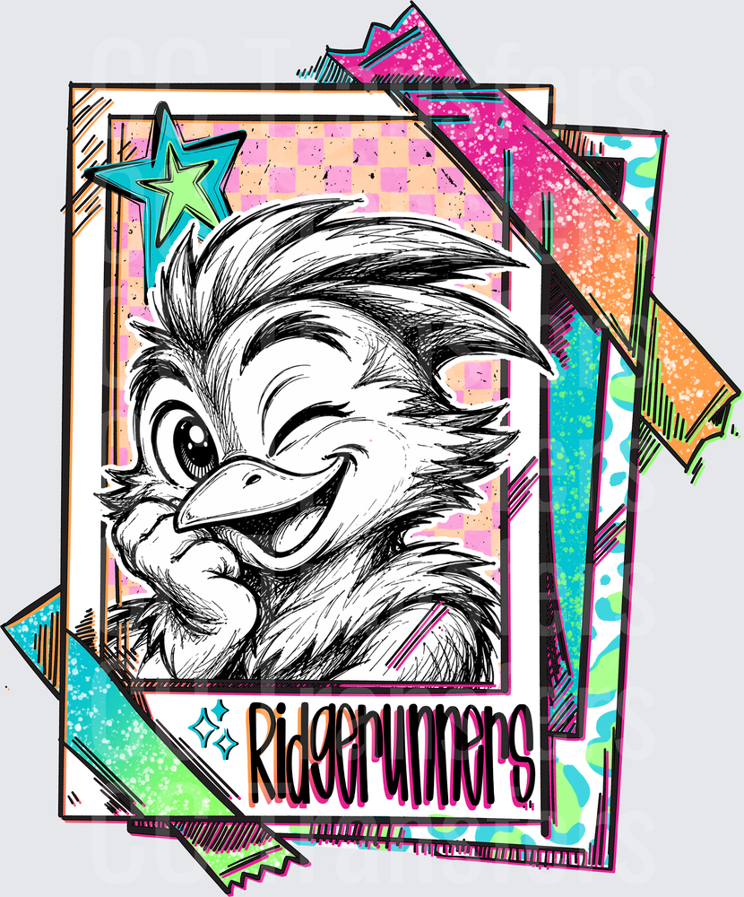 Retro Winking Cartoon Bird Sketch Polaroid Stack (DTF)