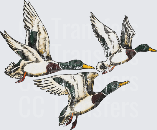 Vintage Distressed Flying Mallard Ducks Trio (DTF)