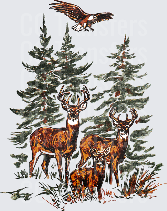 Whitetail Bucks Doe Pine Forest Bald Eagle Winter (DTF)