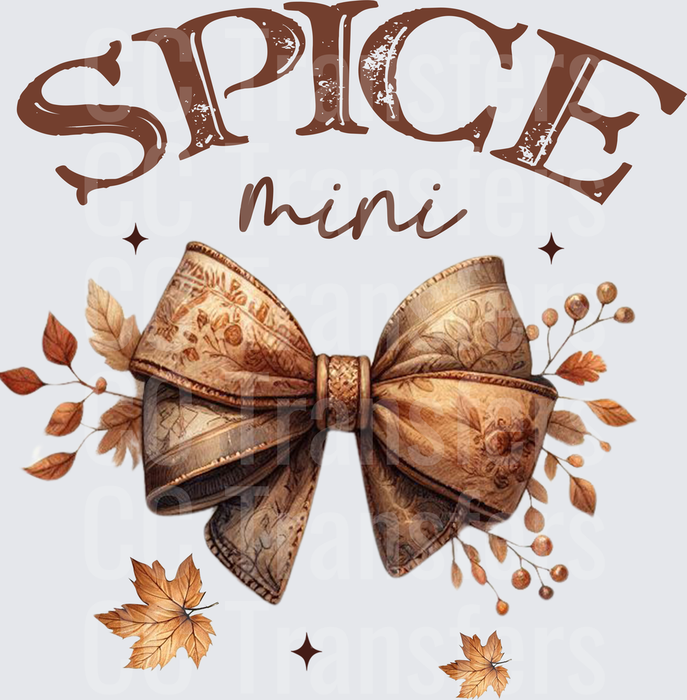 Spice Mini Autumn Bow with Fall Leaves (DTF)