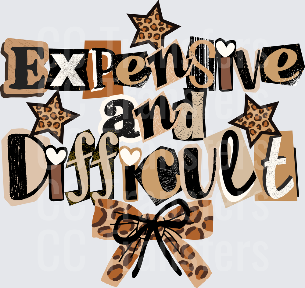 Expensive and Difficult Leopard Print Stars Bow (DTF)