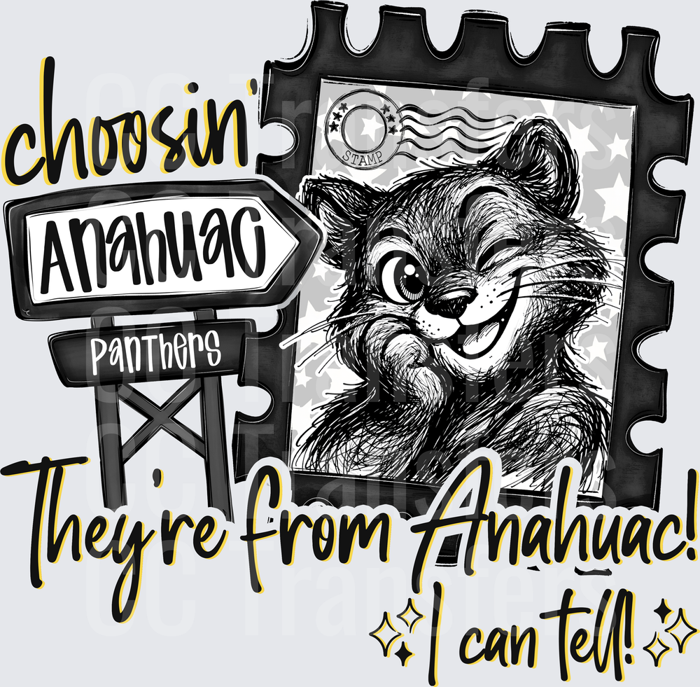 Choosin Anahuac Panthers They're From Anahuac I Can Tell (DTF)