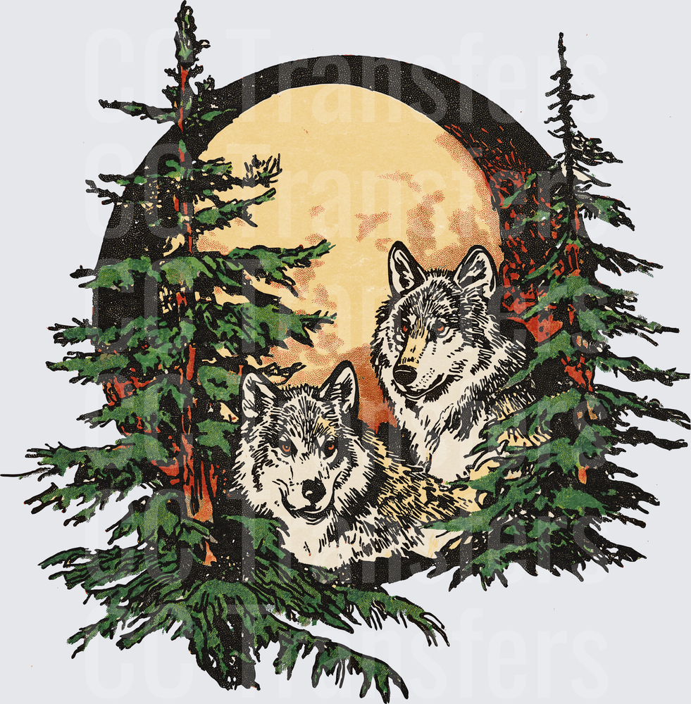 Two Gray Wolves Full Moon Pine Forest Wilderness (DTF)