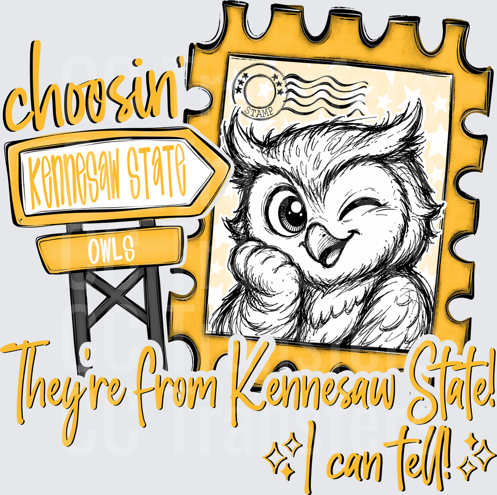 Choosin' Kennesaw State Owls Winking Owl Stamp Design (DTF)