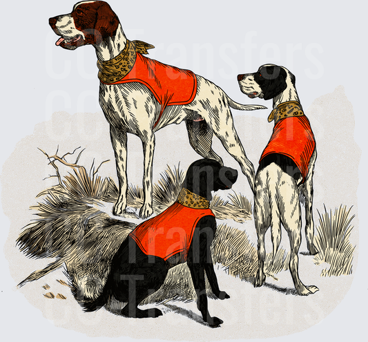 Vintage Hunting Dogs in Red Vests Outdoor Scene (DTF)