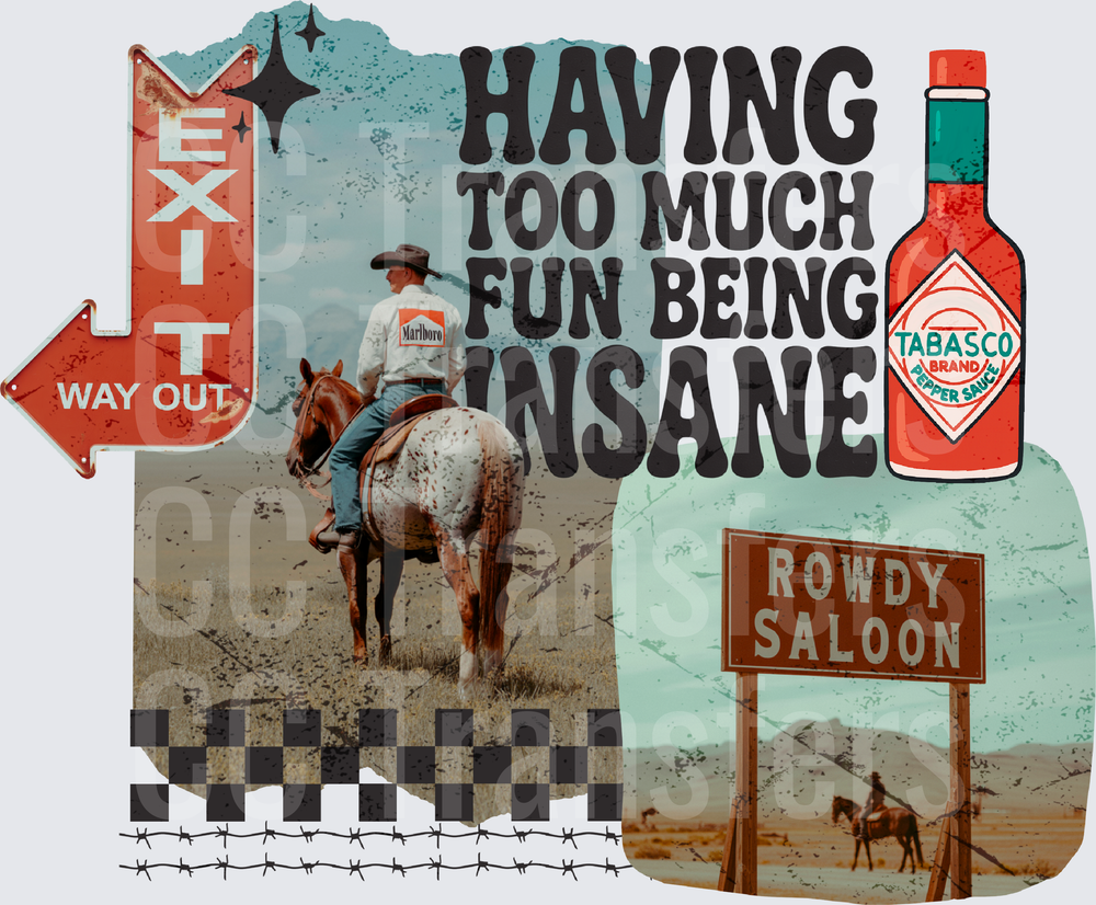 Having Too Much Fun Being Insane Western Cowboy Collage (DTF)