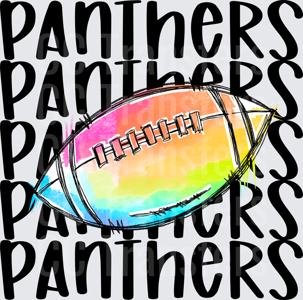 PANTHERS FOOTBALL (DTF)