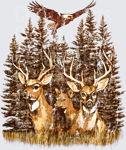 Two Buck Deer and Soaring Bald Eagle Pine Forest (DTF)