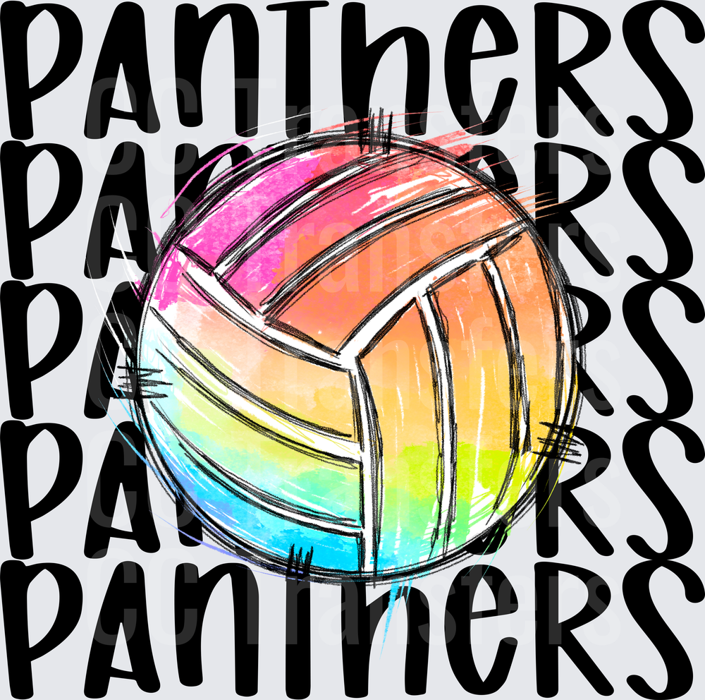 PANTHERS VOLLEYBALL (DTF)