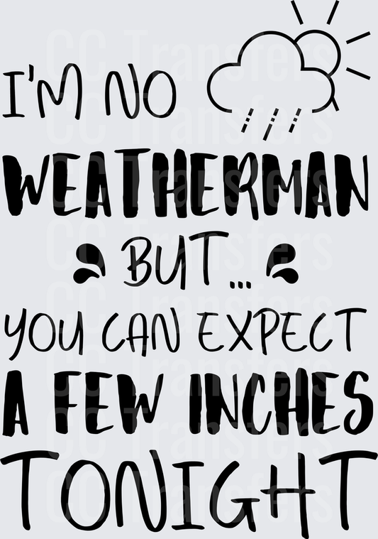 I'm No Weatherman But A Few Inches Tonight Funny (DTF)
