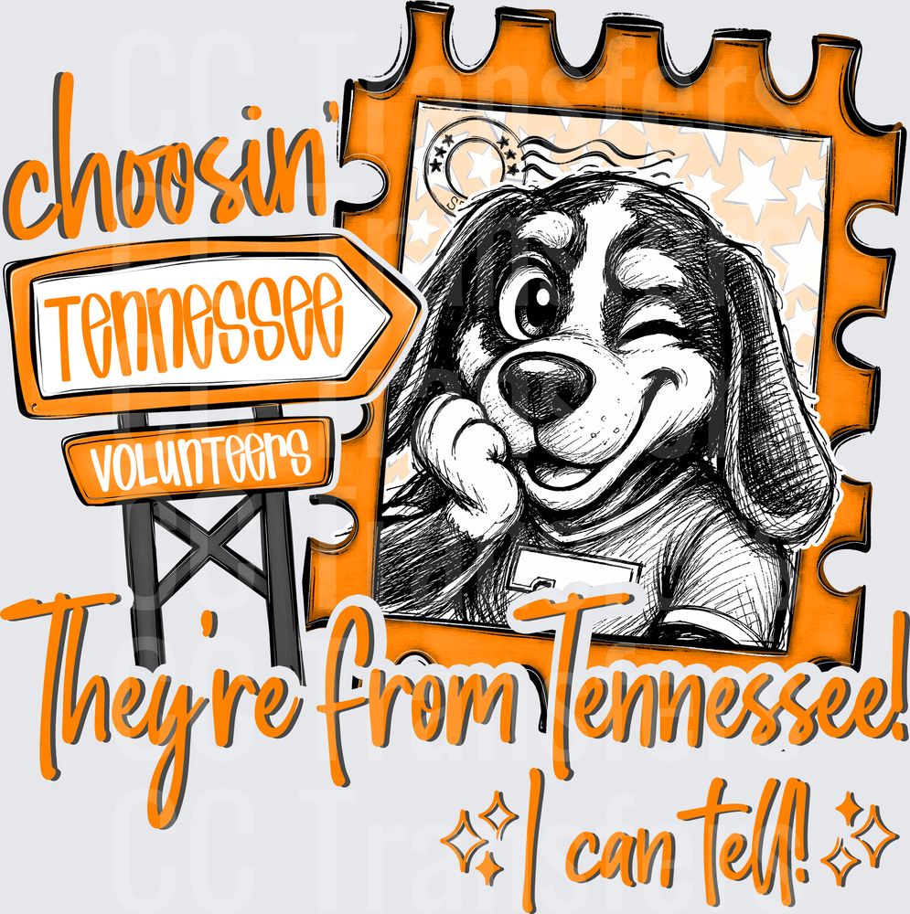 Choosin Tennessee Volunteers Winking Dog Stamp Design (DTF)