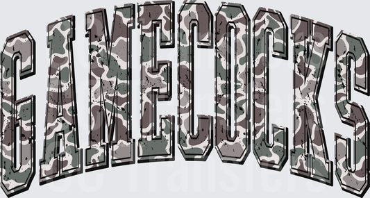 Gamecocks Arched Camo Distressed Bold Lettering (DTF)