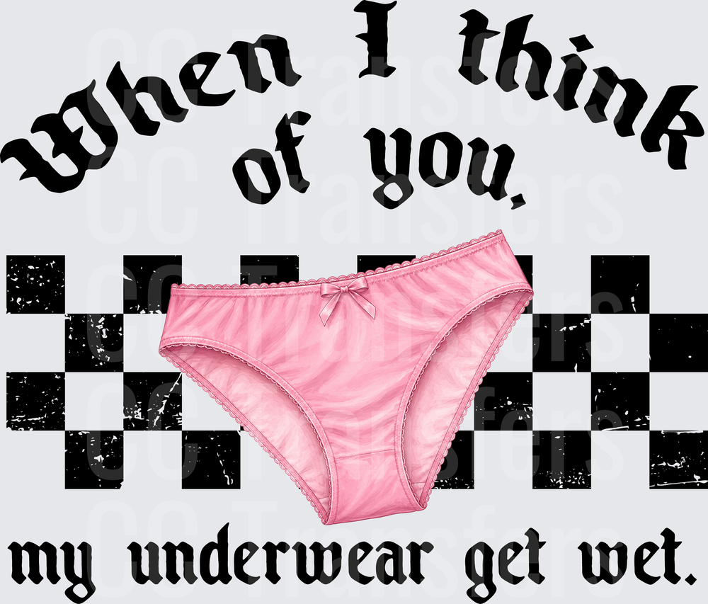 When I Think Of You My Underwear Get Wet Pink Panties (DTF)