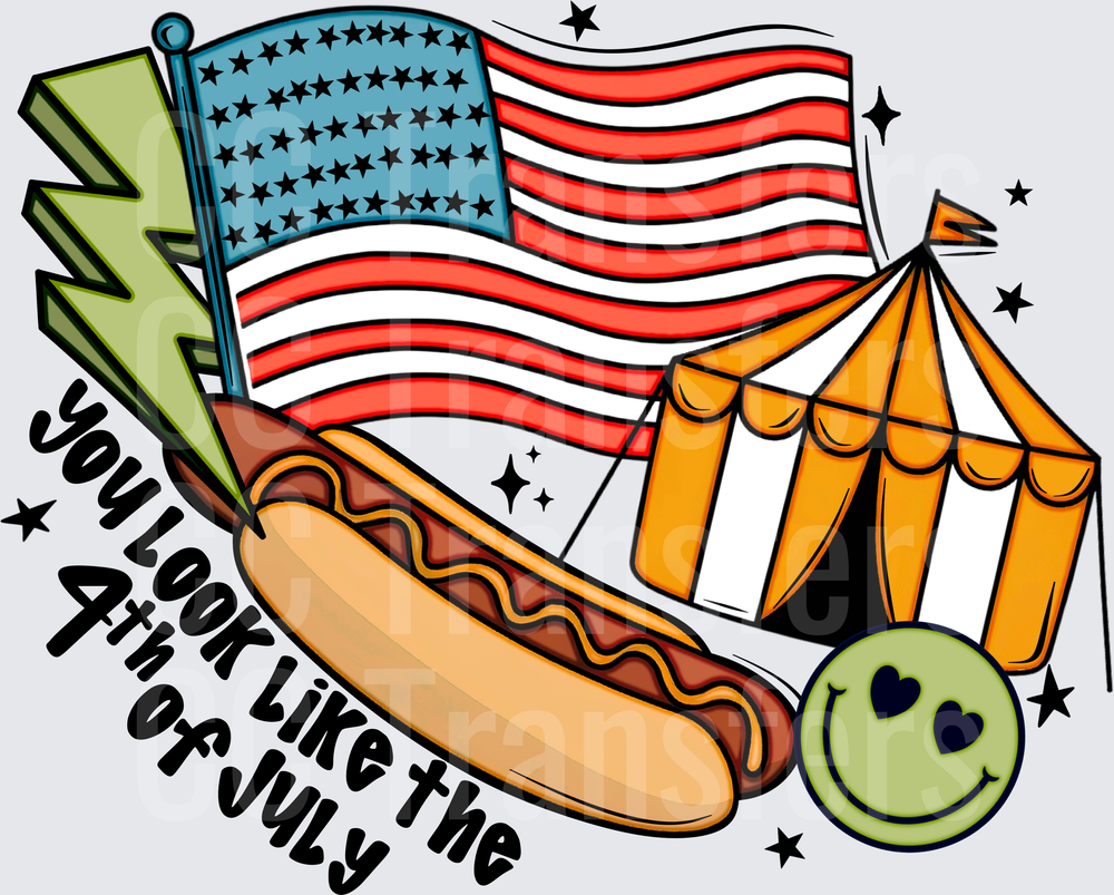You Look Like The 4th of July Hot Dog Flag Tent (DTF)