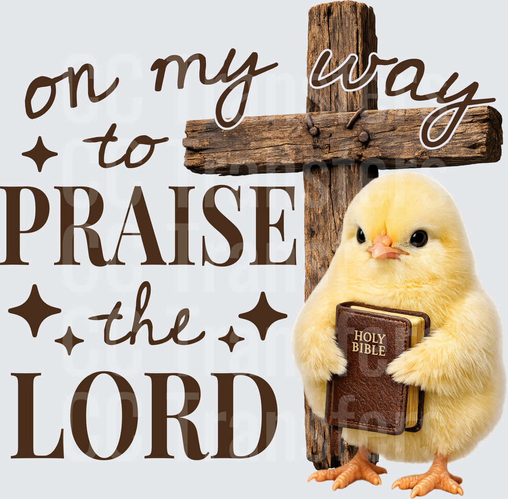 On My Way To Praise The Lord Baby Chick Cross Bible (DTF)
