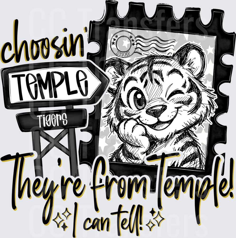 Choosin' Temple Tigers They're From Temple I Can Tell (DTF)