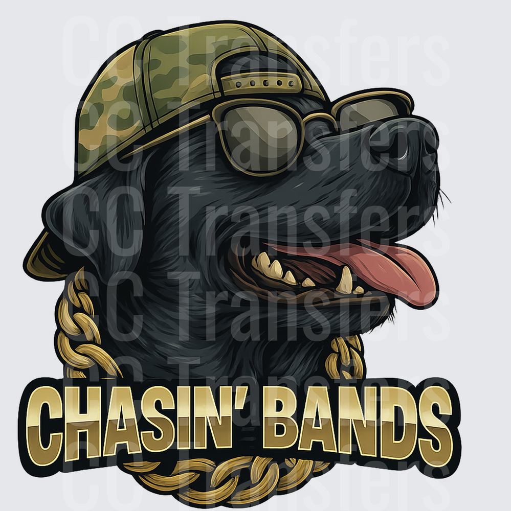 Cool Black Lab Dog Camo Hat Gold Chain Chasin Bands (DTF)