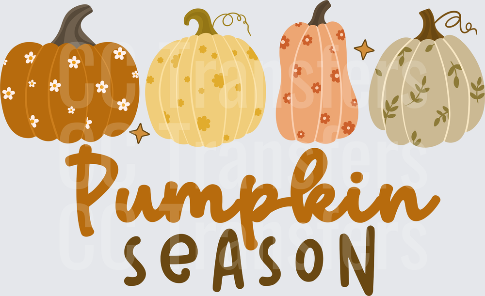Pumpkin Season Four Decorative Pumpkins Fall Design (DTF)