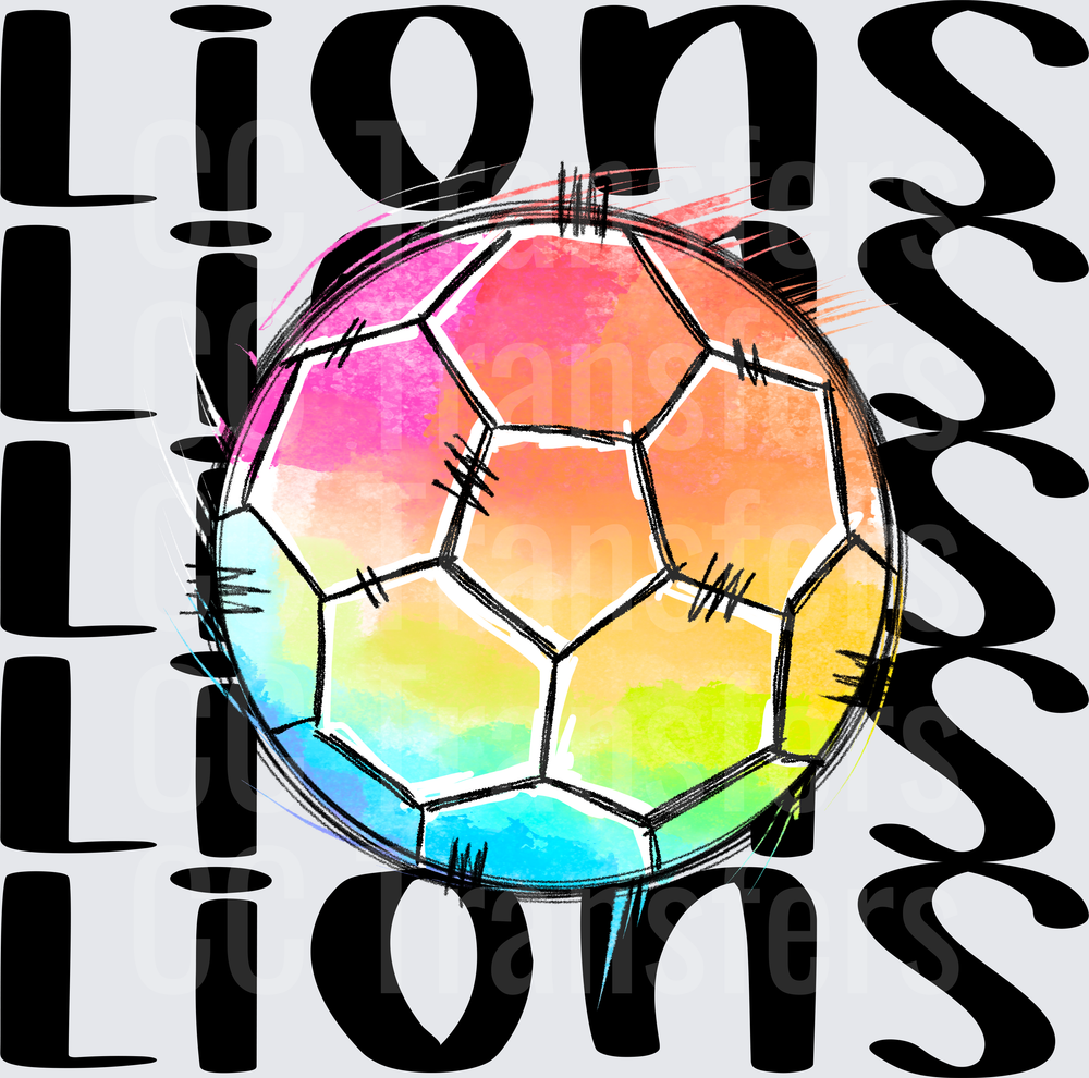LIONS SOCCER (DTF)